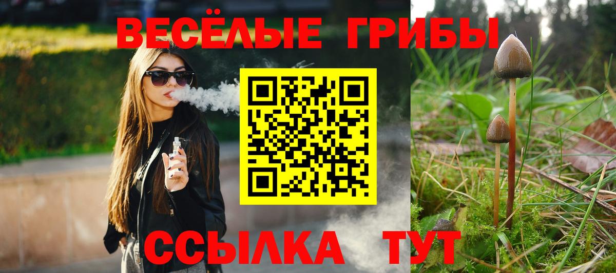 Галлюциногенные грибы мухоморы Холмск